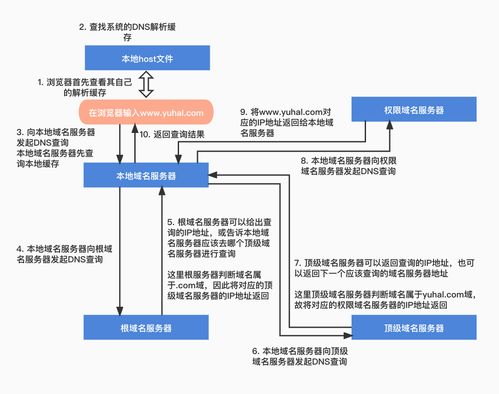 Linux 系統(tǒng) DNS 服務(wù)器搭建與配置實驗報告 - 信息系統(tǒng)運行維護服務(wù)