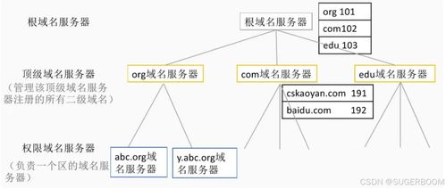 服務基礎第一階段第六節 Windows系統管理基礎——DNS部署與安全，助力信息系統運行維護服務